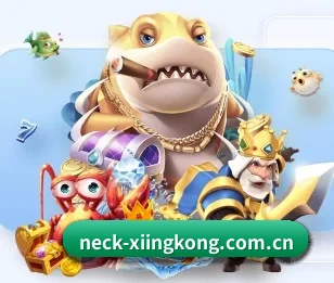 五个功能入口,赛程查询路径更短 - 多运动项目内容板块 - xingkong